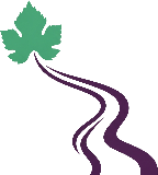 Douro Valley Tours Logo